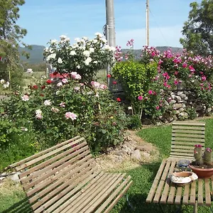 Bed & Breakfast Il Vecchioliveto Di Ornella, Marrubiu
